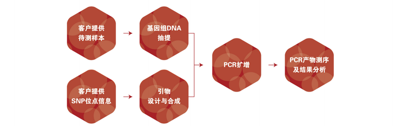 圖片7-SNP檢測(cè).png