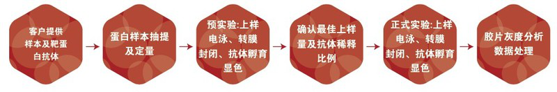 圖片10-Western Blot檢測.png