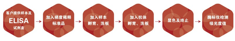 圖片12-ELISA檢測.png