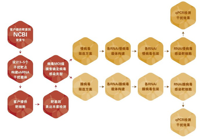 圖片24-RNA病毒包裝及篩選.png