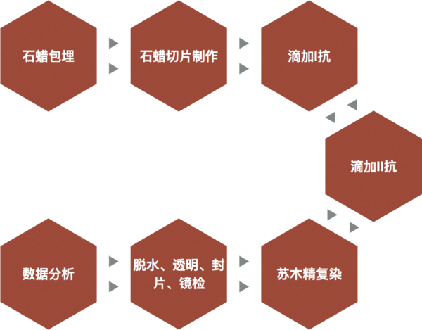 圖片27-免疫組化(IHC).png