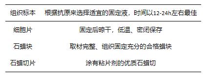 圖片29-免疫組化(IHC).jpg